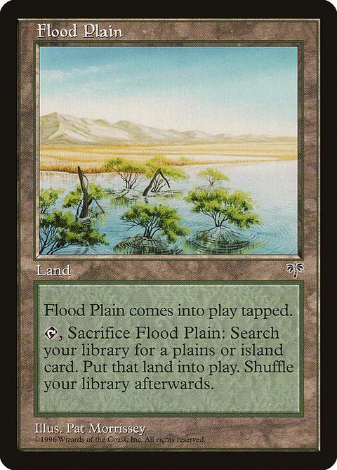 Flood Plain (Retro Frame) | Inglés | NM | MIR