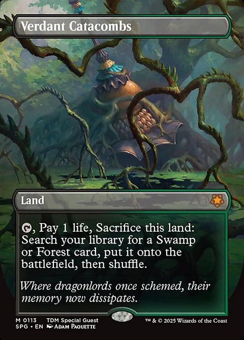 Verdant Catacombs (Borderless foil) | Inglés | NM | SPG