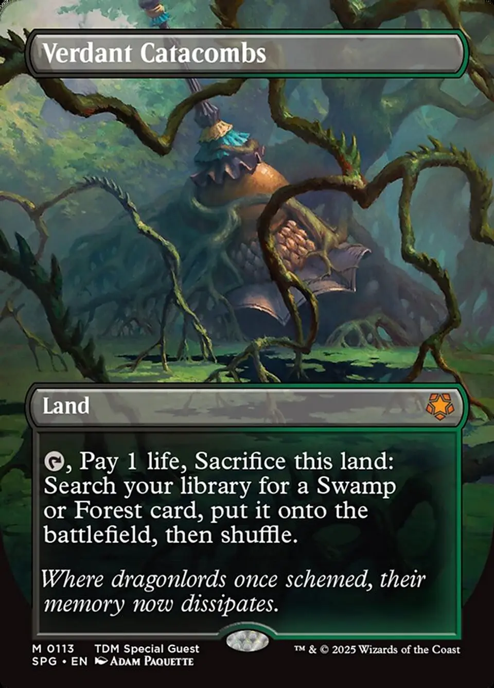 Verdant Catacombs (Borderless foil) | Inglés | NM | SPG 1