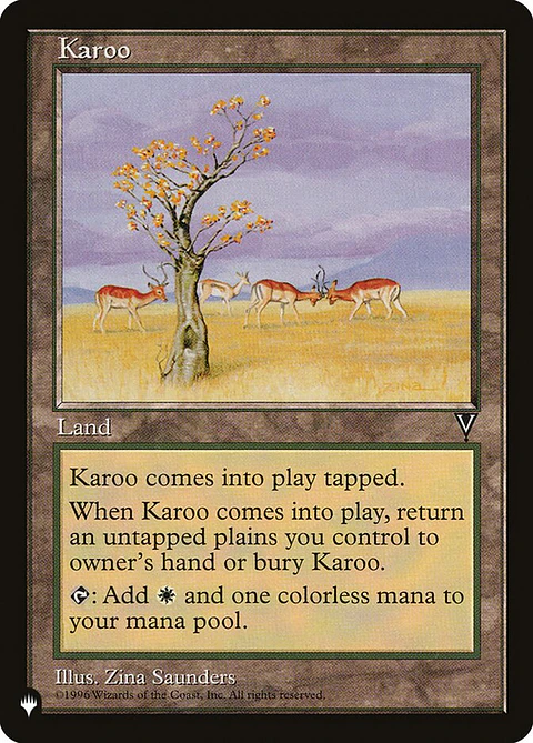 Karoo (Retro Frame) | Inglés | NM | PLST