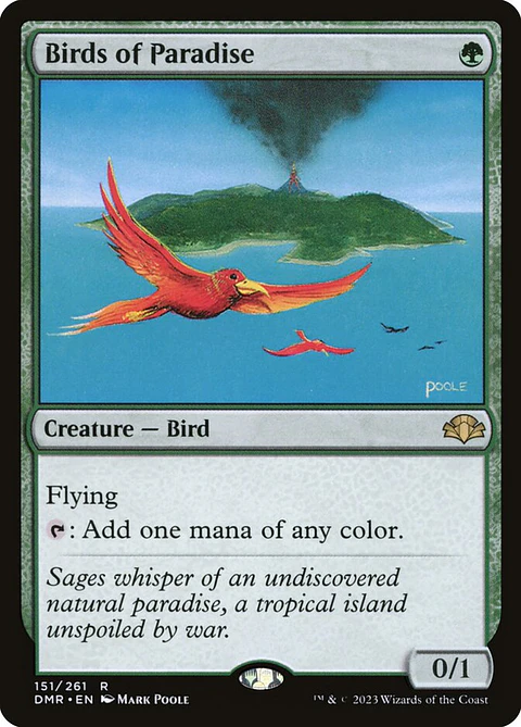 Birds of Paradise | Inglés | NM | DMR