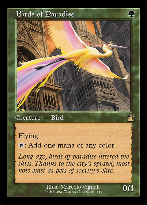 Birds of Paradise (Retro Frame) | Inglés | NM | RVR