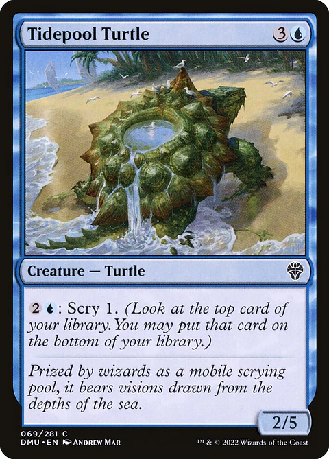 Tidepool Turtle | Español | NM | DMU