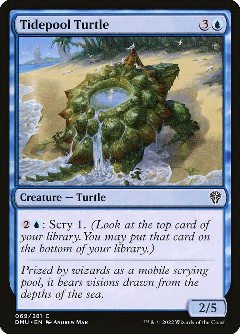 Tidepool Turtle | Español | NM | DMU 1