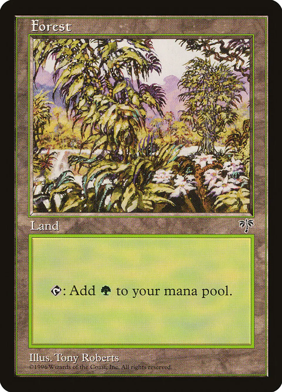 Forest (Retro Frame) | Inglés | EX | MIR 1