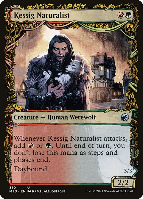 Kessig Naturalist // Lord of the Ulvenwald (Showcase) | Inglés | NM | MID