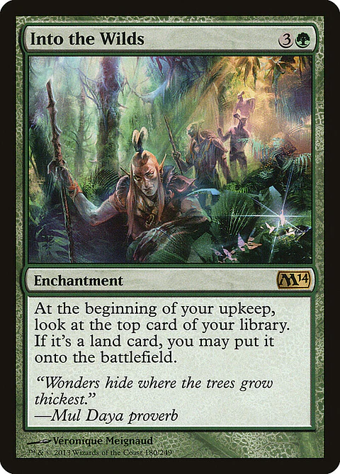 Into the Wilds | Inglés | NM | M14