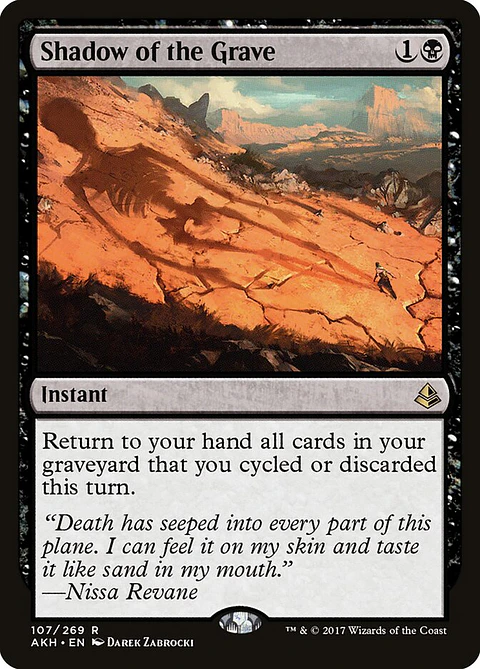 Shadow of the Grave | Español | EX | AKH