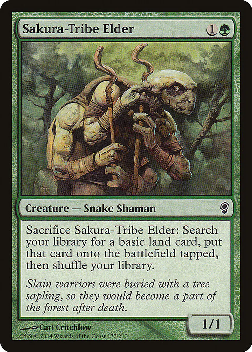 Sakura-Tribe Elder | Inglés | NM | CNS 1