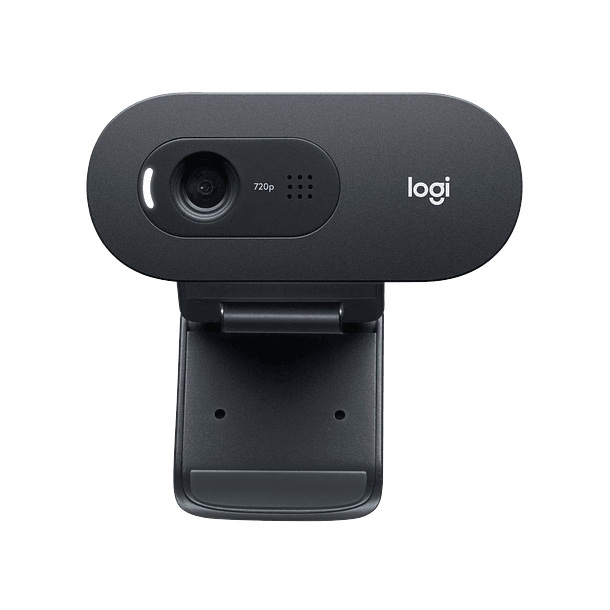 Webcam Logitech C505 HD  3