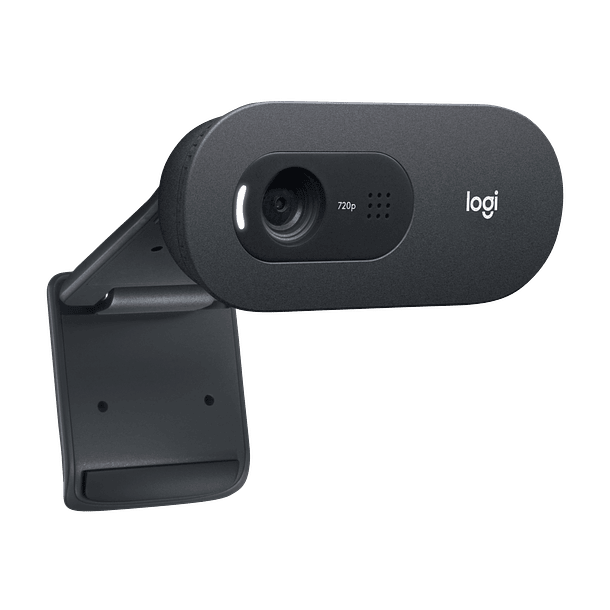 Webcam Logitech C505 HD  2