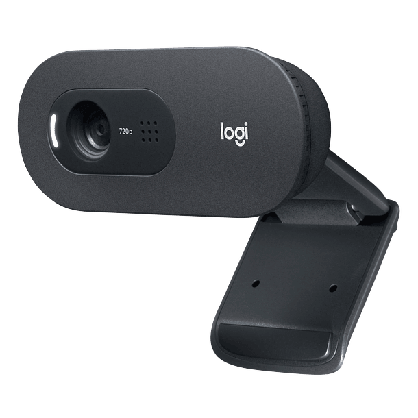 Webcam Logitech C505 HD  1