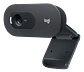 Webcam Logitech C505 HD  - Miniatura 1
