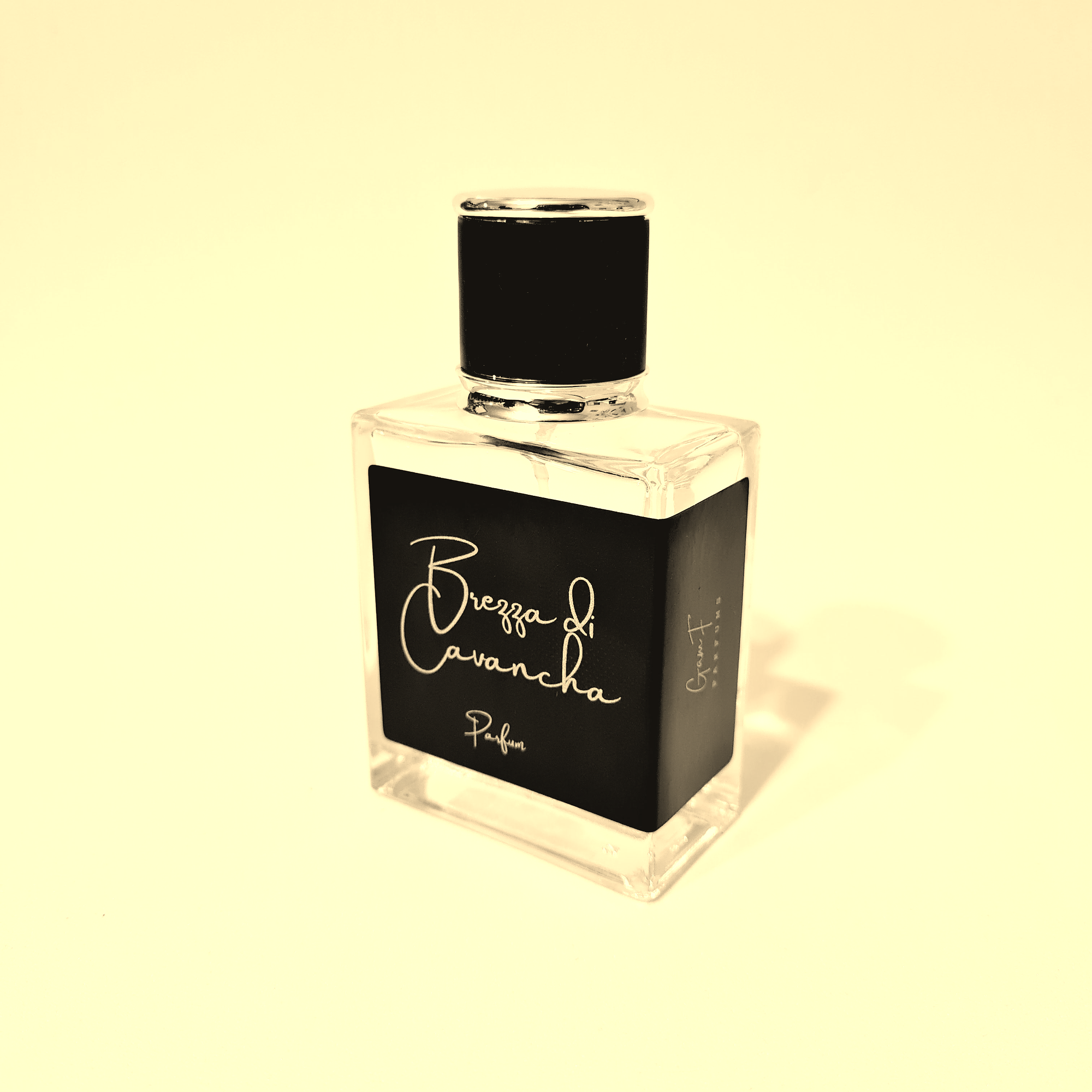 Brezza di Cavancha 1