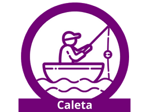 Caleta