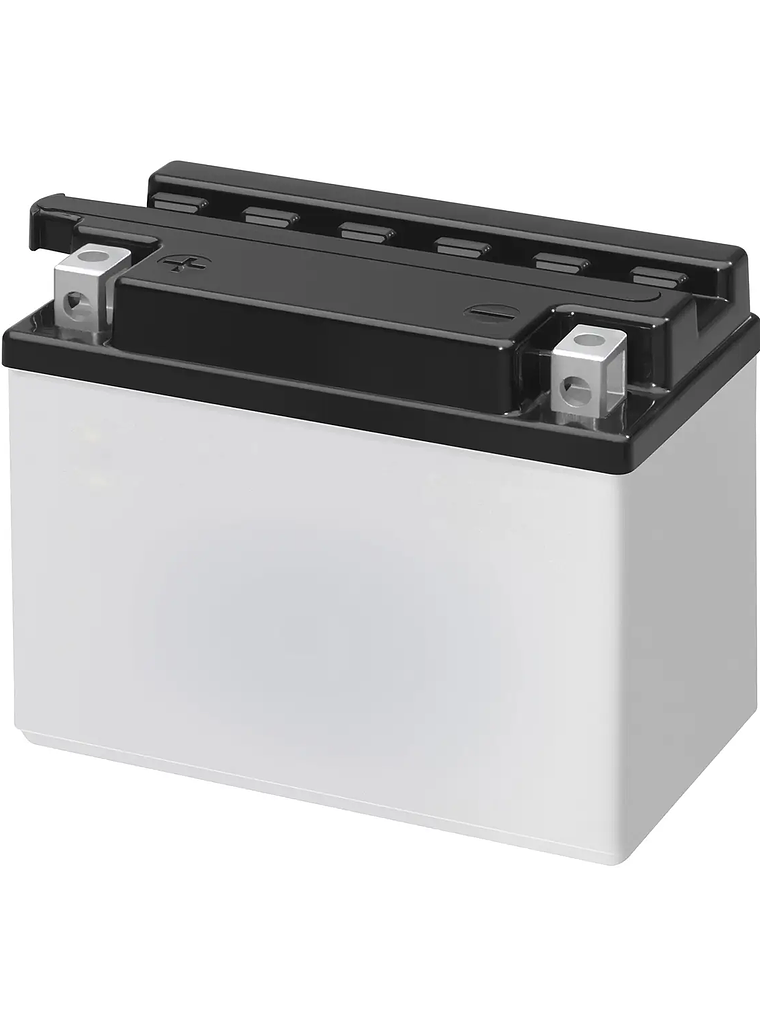 Batería 12V 60Ah Libre Mantenimiento 1