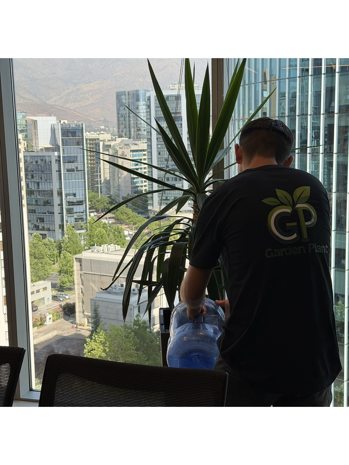 Mantención Profesional de Plantas 1