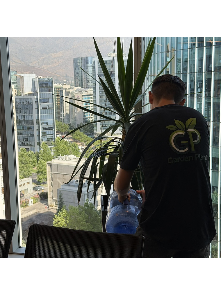 Mantención Profesional de Plantas 1