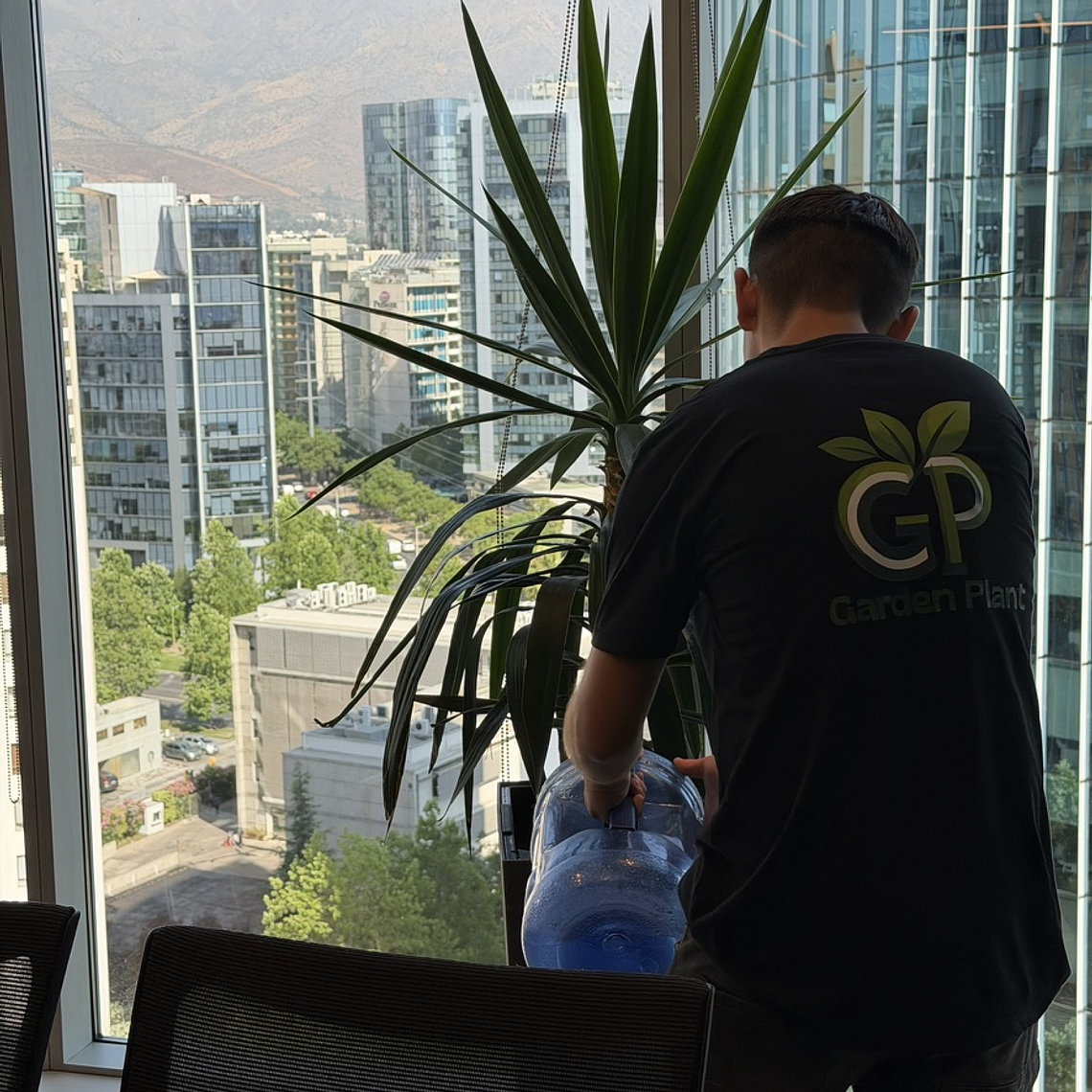 Mantención Profesional de Plantas 1