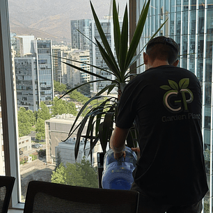 Mantención Profesional de Plantas