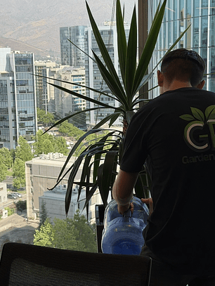 Mantención Profesional de Plantas