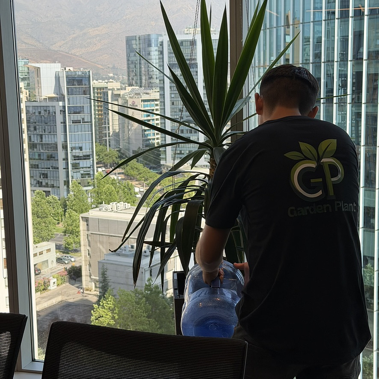 Mantención Profesional de Plantas 1