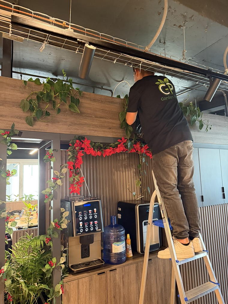 Mantención Profesional de Plantas 2