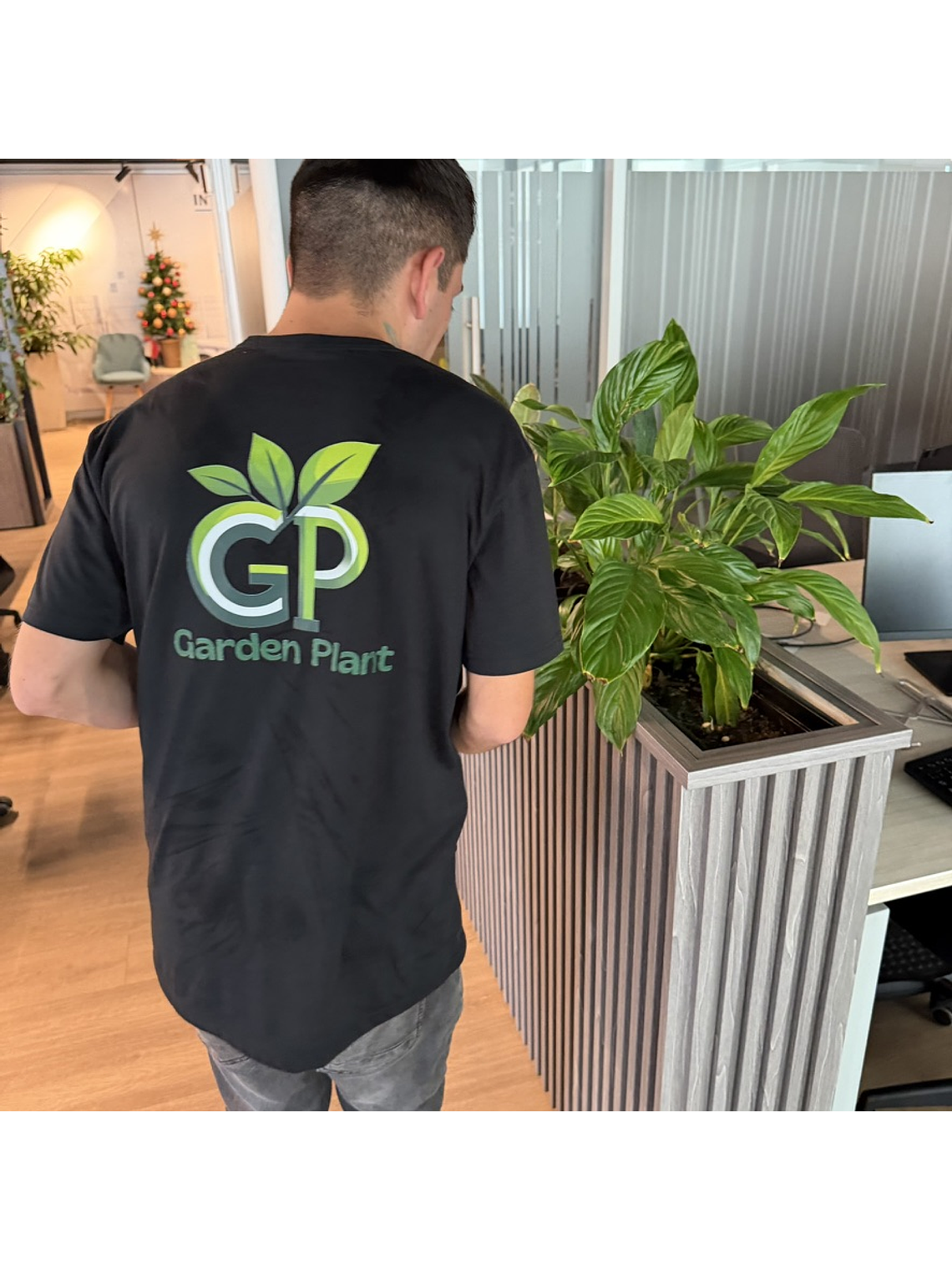 Mantención Profesional de Plantas 4