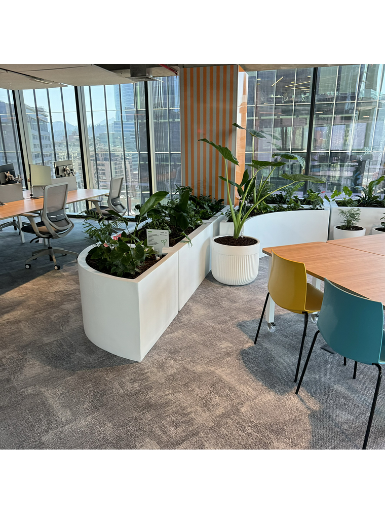 🌿 Trasplante Profesional de Plantas 🌿 1