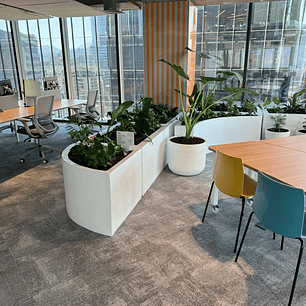 🌿 Trasplante Profesional de Plantas 🌿