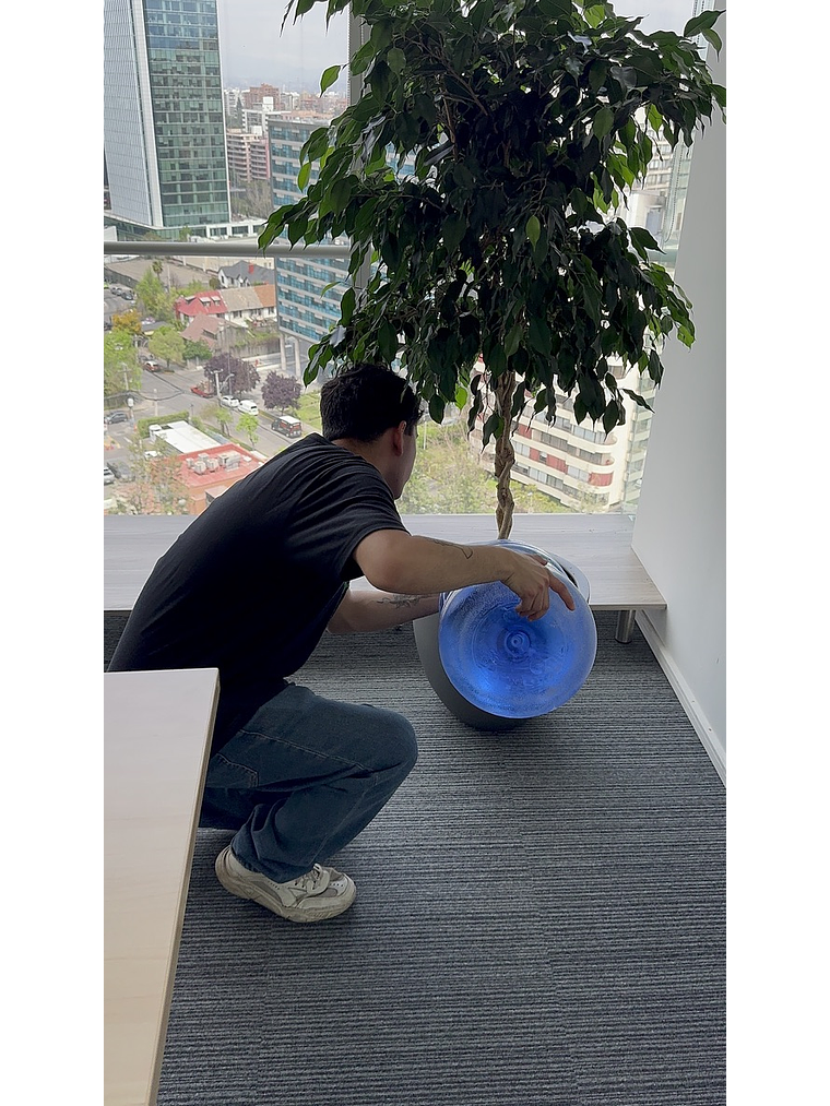 Mantención Profesional de Plantas 5