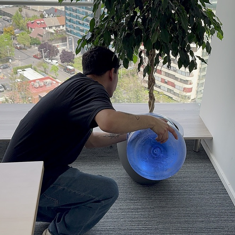 Mantención Profesional de Plantas 5