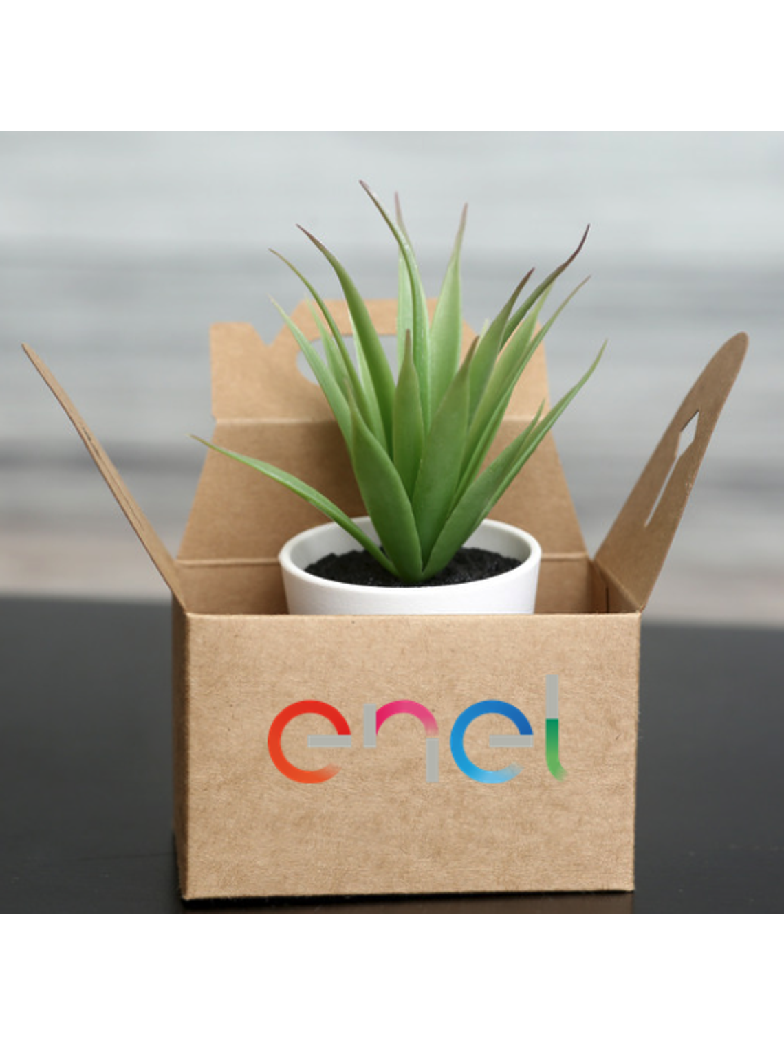 Regalos Corporativos  1