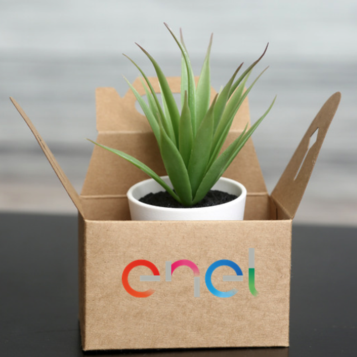 Regalos Corporativos  1