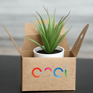 Regalos Corporativos 