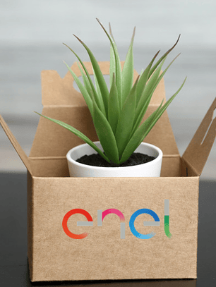 Regalos Corporativos 