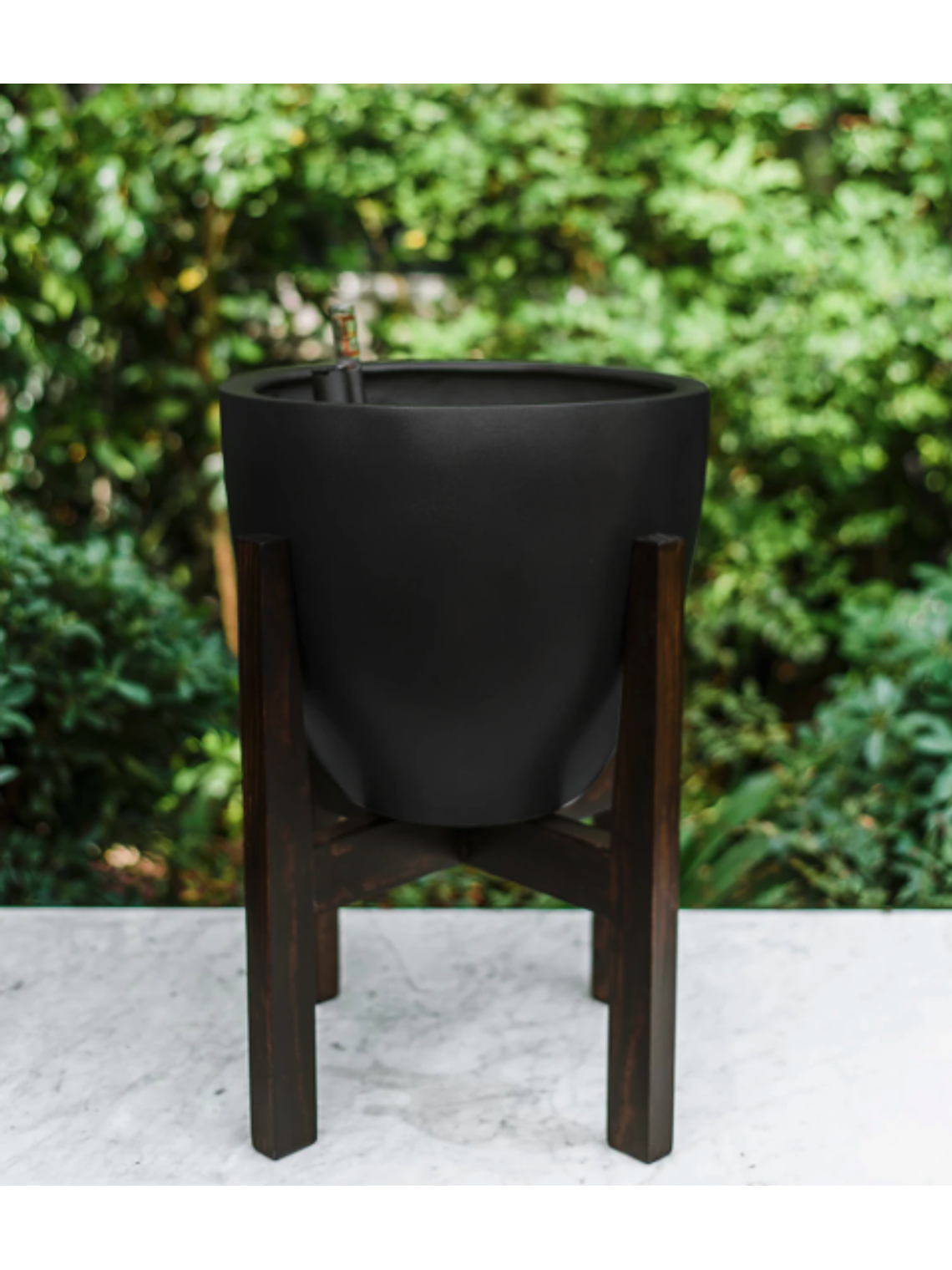 Arax Negro (Autorregante XL) y Pedestal XL 1