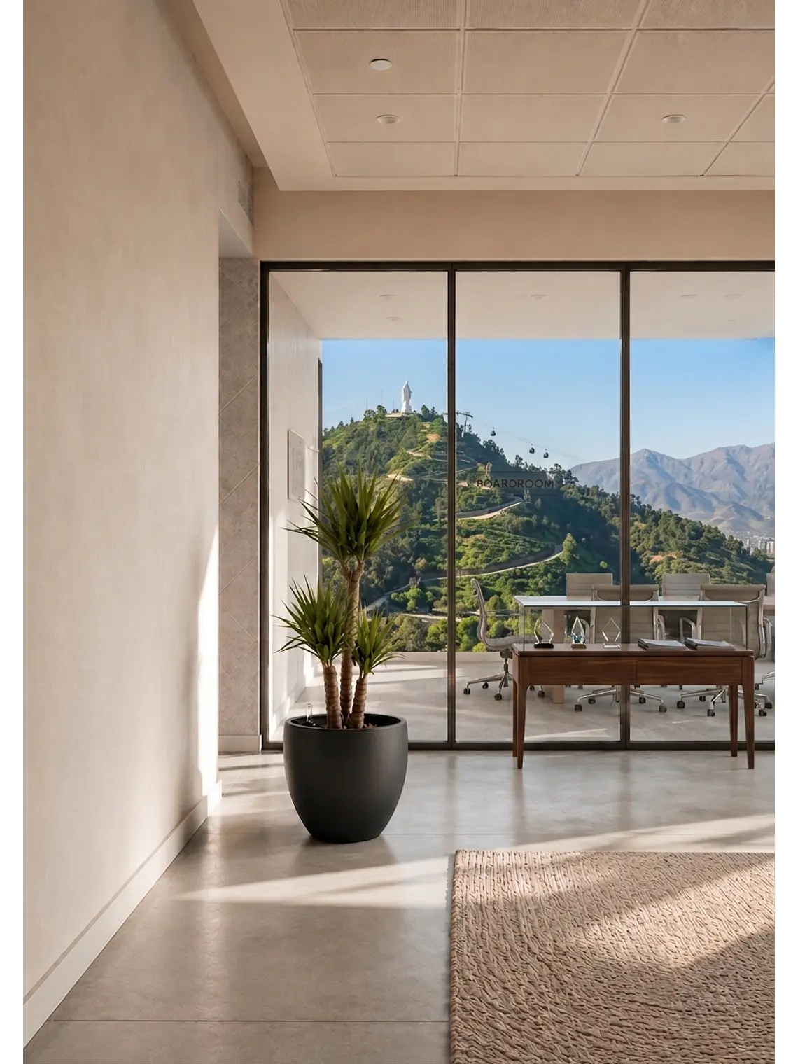 Yucca XL 3