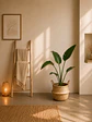Strelitzia Nicolai L - Miniatura 2