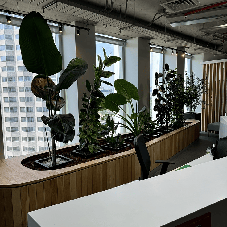 Oficinas Corporativas