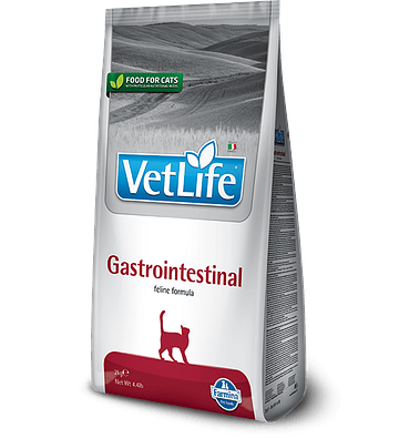 VetLife Gastrointestinal Gato 2kg