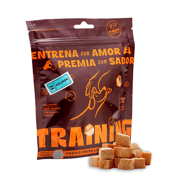 Tributo Training Salmón 100gr