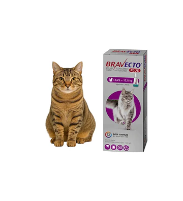 Bravecto Gato 6.25-12.5Kg