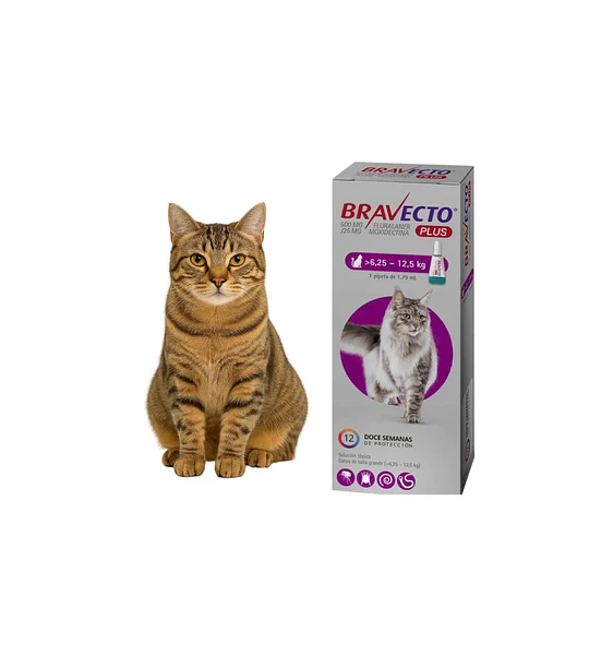 Bravecto Gato 6.25-12.5Kg