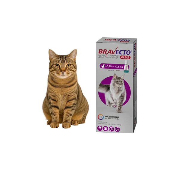Bravecto Gato 6.25-12.5Kg