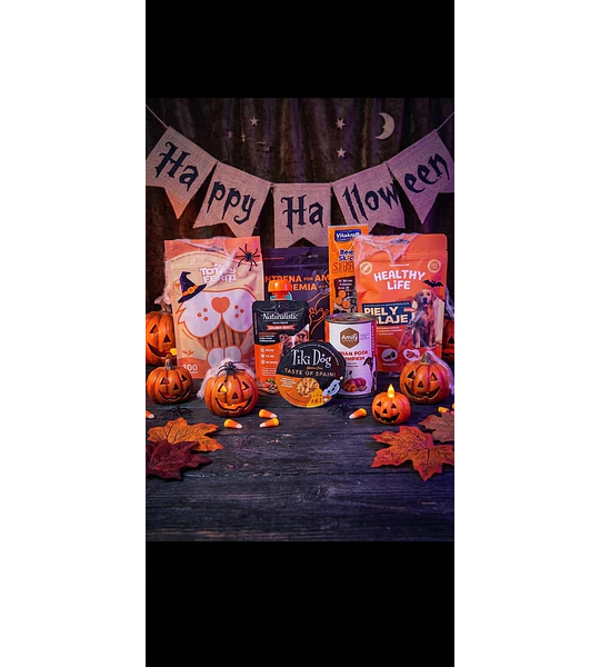 Pack Halloween Perro 
