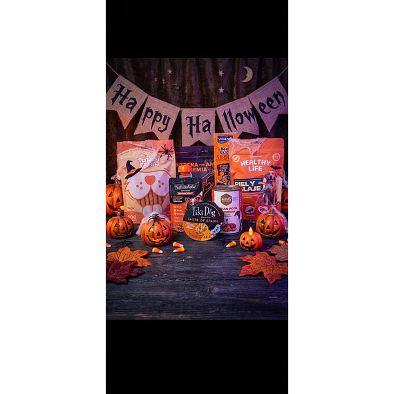 Pack Halloween Perro 