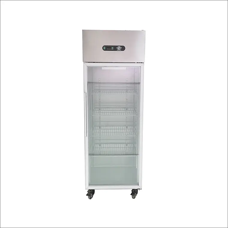 Refrigerador A.I. 1 puerta de vidrio 500 lt Maigas AS05G – miniatura 1