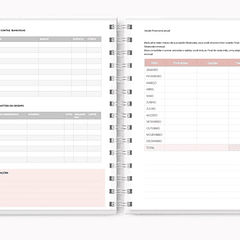 Planner Controle Financeiro Permanente Arquivo em Pdf