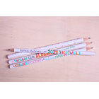 Arquivos Prontos Volta as Aulas em em Jpg  3